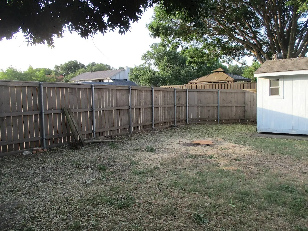 Cleared yard after professional tree removal in Jim Thorpe